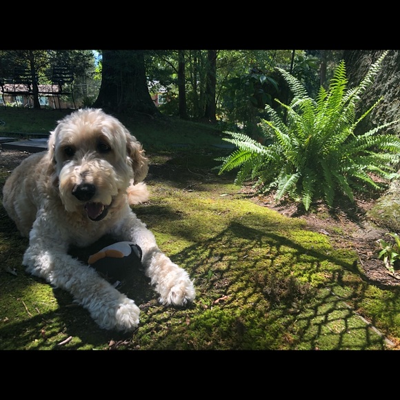 Meet Your Posher - Picture 2 of 2